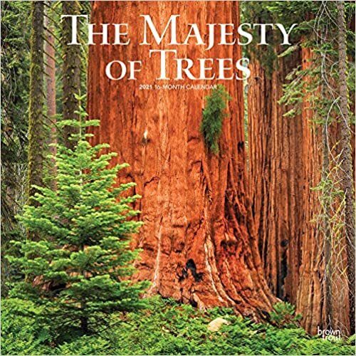 ダウンロード  The Majesty of Trees 2021 Calendar 本