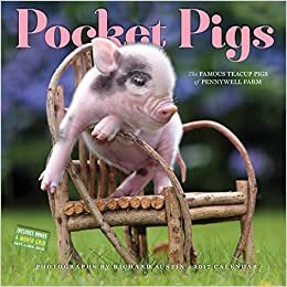Pocket Pigs 2017 Calendar: The Famous Teacup Pigs of Pennywell Farm ダウンロード