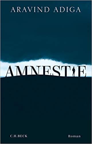 Amnestie: Roman indir