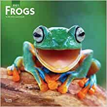 ダウンロード  Frogs 2021 Calendar 本