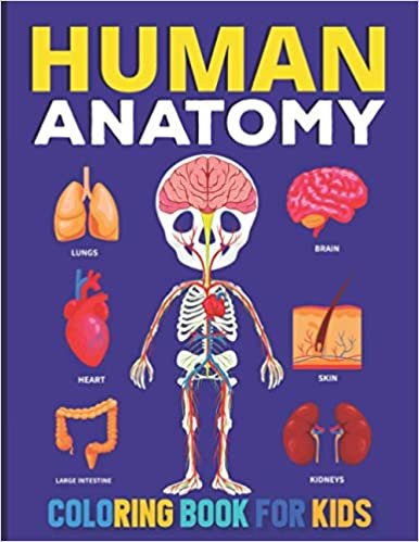 The Human Anatomy Coloring Book For Kids: This Entertaining And Instructive Guide To The Human Physiology Organs Coloring Drawing Pages – Human Body Organs Coloring Book For Preschoolers - Perfect Science Gifts For Toddlers Or Future Doctors