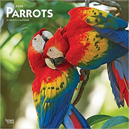 ダウンロード  Parrots 2020 Calendar 本