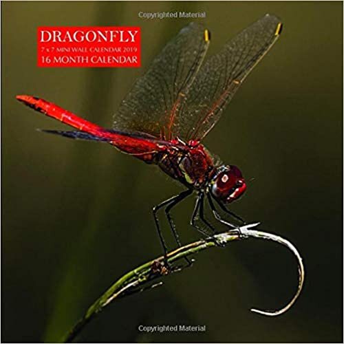 Dragonfly 7 x 7 Mini Wall Calendar 2019: 16 Month Calendar indir