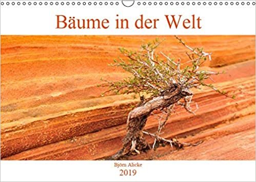 Alicke, B: Bäume in der Welt (Wandkalender 2019 DIN A3 quer) indir