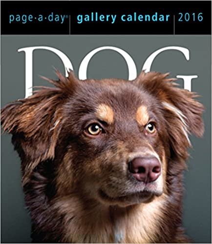 Dog 2016 Gallery Calendar (2016 Calendar)