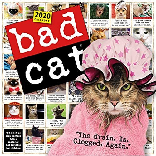 Bad Cat 2020 Calendar