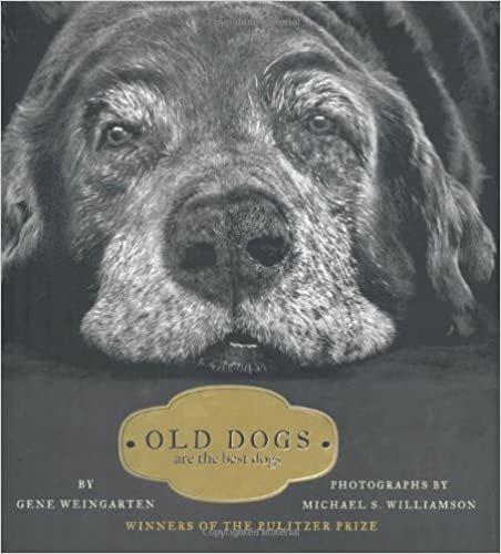 Old Dogs: Are the Best Dogs