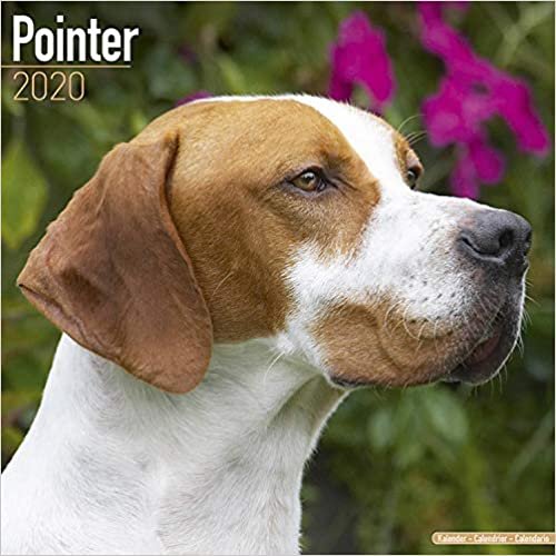 Pointer Calendar 2020