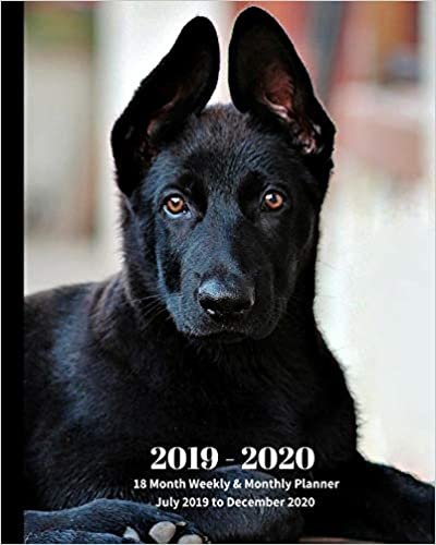 2019 - 2020 | 18 Month Weekly & Monthly Planner July 2019 to December 2020: Black German Shepherd Pup Dog Pets Vol 46 Monthly Calendar with U.S./UK/ ... Holidays– Calendar in Review/Notes 8 x 10 in. indir