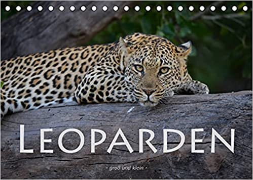 ダウンロード  Leoparden - gross und klein (Tischkalender 2022 DIN A5 quer): Faszinierende Aufnahmen dieser wunderschoenen Raubkatze (Monatskalender, 14 Seiten ) 本