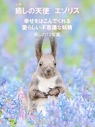 ダウンロード  癒しの天使 エゾリス 幸せをはこんでくれる愛らしい不思議な妖精 癒しの70写真集: 北海道のかわいい動物シリーズ (SOHMA CREATE) 本