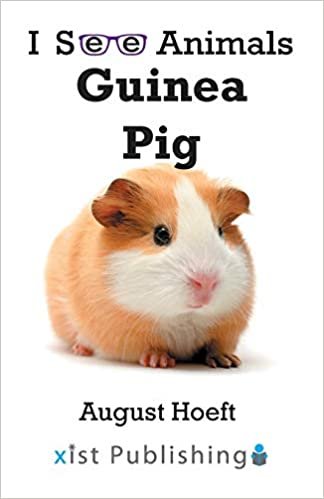Guinea Pig (I See Animals)
