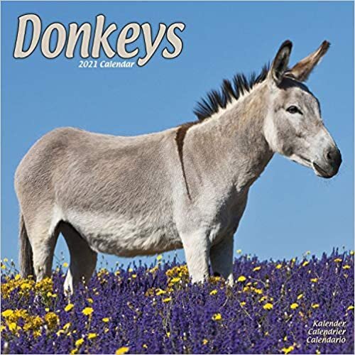 ダウンロード  Donkeys 2021 Wall Calendar 本