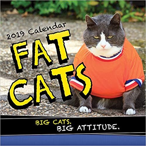 ダウンロード  Fat Cats 2019 Calendar 本