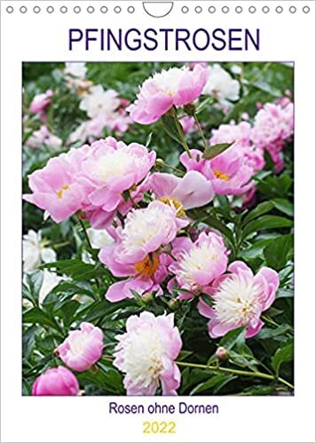 ダウンロード  Pfingstrosen Rosen ohne Dornen (Wandkalender 2022 DIN A4 hoch): Wunderbare Bluetenportraets (Planer, 14 Seiten ) 本