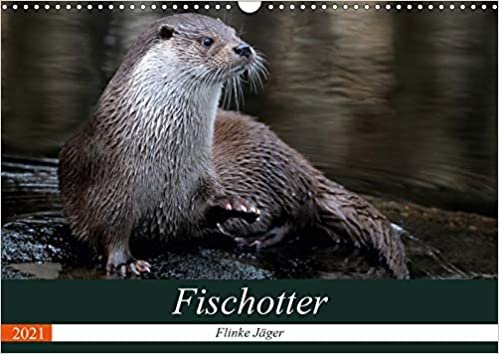 Fischotter, flinke Jäger (Wandkalender 2021 DIN A3 quer): Fischotter sind flinke und wendige Jäger (Monatskalender, 14 Seiten ) indir