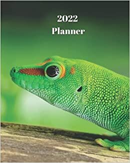 2022 Planner: Green Lizard - Monthly Calendar with U.S./UK/ Canadian/Christian/Jewish/Muslim Holidays– Calendar in Review/Notes 8 x 10 in.-Reptile Animals - For Work Business School indir