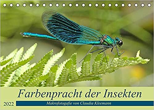 Farbenpracht der Insekten (Tischkalender 2022 DIN A5 quer): Makroaufnahemen verschiedener Insekten verzaubern mit ihrer Farbenpracht (Monatskalender, 14 Seiten ) ダウンロード
