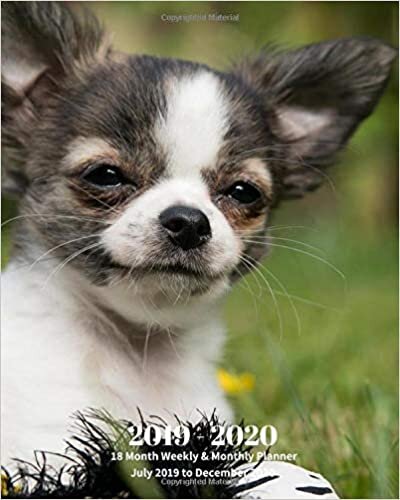 indir 2019 - 2020 | 18 Month Weekly &amp; Monthly Planner July 2019 to December 2020: Chihuahua Pup Dog Vol 10 Monthly Calendar with U.S./UK/ ... Holidays– Calendar in Review/Notes 8 x 10 in.
