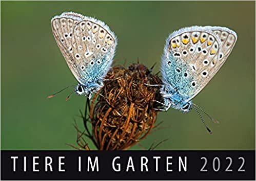 ダウンロード  Tiere im Garten 2022: Wandkalender 本