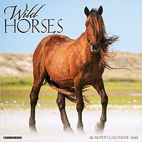 Wild Horses 2021 Calendar indir