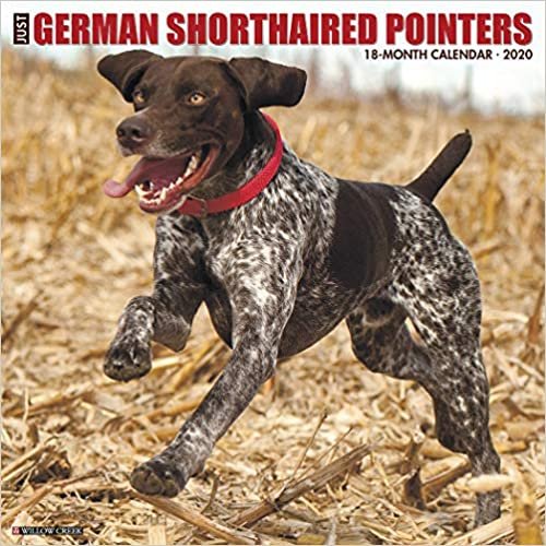 Just German Shorthaired Pointers 2020 Calendar