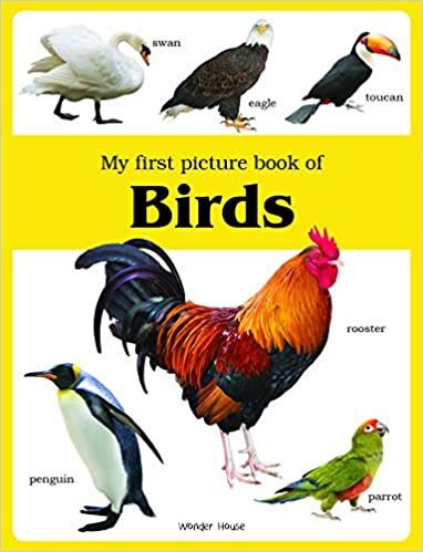 Wonder House Books My first picture book of Birds Wonder House Books تكوين تحميل مجانا Wonder House Books تكوين