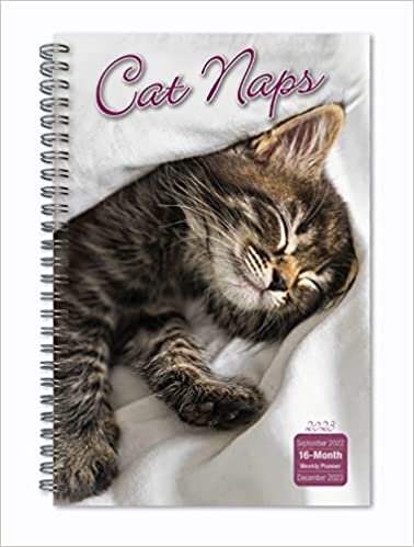 Cat Naps (ENGAGEMENT 16 MONTH)