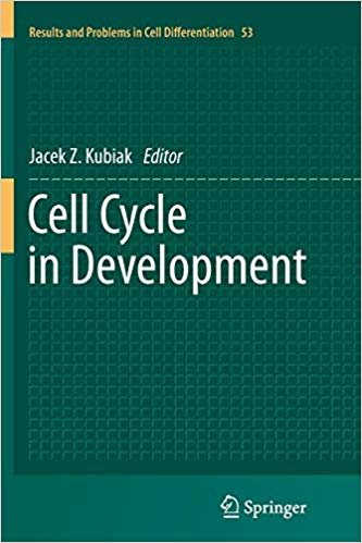indir Cell Cycle in Development : 53