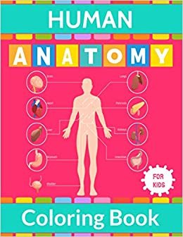 ダウンロード  Human Anatomy Coloring Book For Kids: Human Body Anatomy Coloring Activity Book For Children & Teens or Medical Student to Learn About Human body part | Perfect Biology Book for Boys & Girls – Gift for Primary or School Student 本