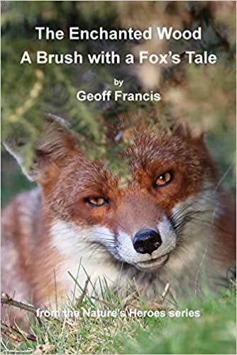 تحميل Enchanted Wood - Brush of a Fox&#39;s Tale