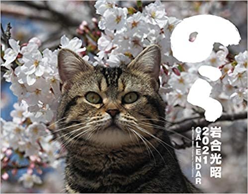 ダウンロード  2021猫カレンダー のら ([カレンダー]) 本