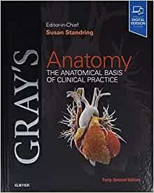 ダウンロード  Gray's Anatomy: The Anatomical Basis of Clinical Practice 本