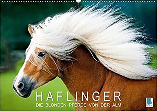 ダウンロード  Haflinger: Die blonden Pferde von der Alm (Premium, hochwertiger DIN A2 Wandkalender 2022, Kunstdruck in Hochglanz): Haflinger - Ungestueme Lebensfreude (Monatskalender, 14 Seiten ) 本