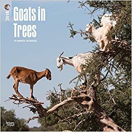 Goats in Trees 2018 Calendar
