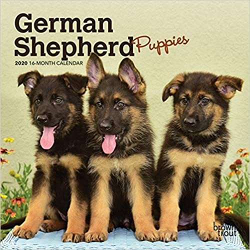 indir German Shepherd Puppies 2020 Mini Wall Calendar