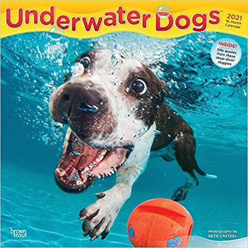 ダウンロード  Underwater Dogs 2021 Calendar 本