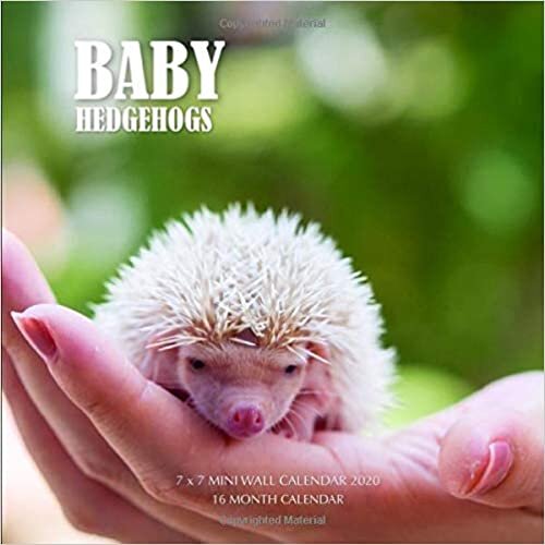 indir Baby Hedgehogs 7 x 7 Mini Wall Calendar 2020: 16 Month Calendar