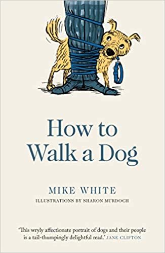indir How to Walk a Dog