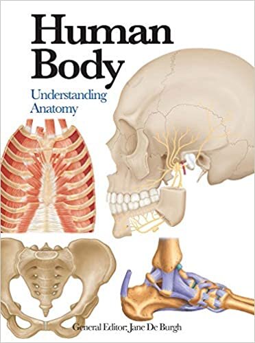 Human Body: Understanding Anatomy (Mini Encyclopedia)