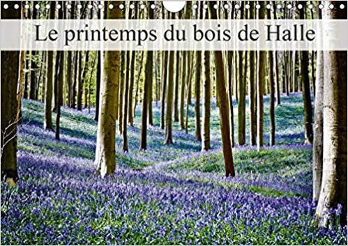 Le printemps du bois de Halle (Calendrier mural 2021 DIN A4 horizontal): Hallerbos, la forêt féerique (Calendrier mensuel, 14 Pages )