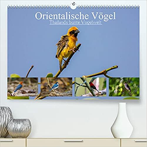 ダウンロード  Orientalische Voegel - Thailands bunte Vogelwelt (Premium, hochwertiger DIN A2 Wandkalender 2022, Kunstdruck in Hochglanz): Die erstaunlich farbenfrohe Vogelwelt in Thailand (Geburtstagskalender, 14 Seiten ) 本