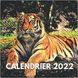 indir Calendrier 2022: Tigres - Une Jolie Calendrier Petit Format | Janvier à Décembre 2022 | Carré qui S&#39;emmène... avec Jours Fériés et Notes