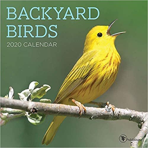 Backyard Birds 2020 Calendar