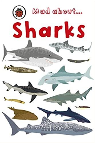 Deborah Jane Murrell Mad About Sharks تكوين تحميل مجانا Deborah Jane Murrell تكوين