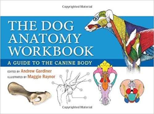 ダウンロード  Dog Anatomy Workbook 本