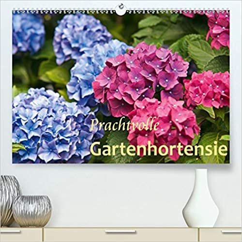 Prachtvolle Gartenhortensie (Premium, hochwertiger DIN A2 Wandkalender 2021, Kunstdruck in Hochglanz): Blueten von Hortensien (Monatskalender, 14 Seiten )