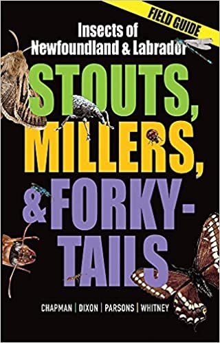 اقرأ Stouts, Millers, and Forky-Tails: Insects of Newfoundland and Labrador الكتاب الاليكتروني 