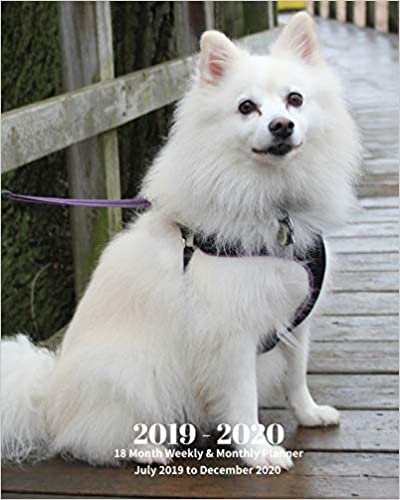 indir 2019 - 2020 | 18 Month Weekly &amp; Monthly Planner July 2019 to December 2020: American Eskimo Dog Pets Canine Vol 13 Monthly Calendar with U.S./UK/ ... Holidays– Calendar in Review/Notes 8 x 10 in.