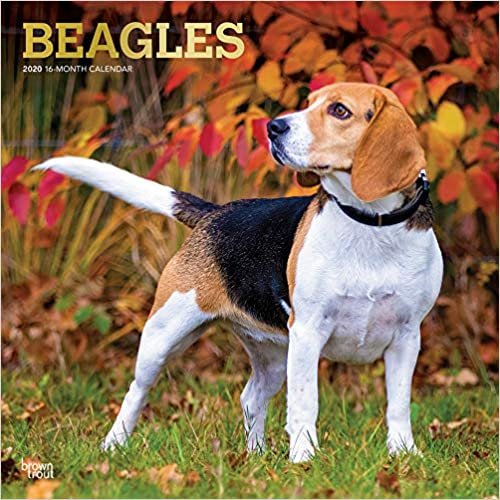 ダウンロード  Beagles 2020 Calendar: Foil Stamped Cover 本